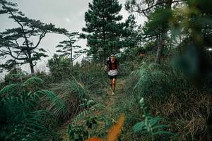 BIB: 
                            <button type="button" onclick="openModal(25257801)" class="btn btn-primary btn-sm float-right btn-popup" data-toggle="modal" data-target=".modal-high-quality">
                        <i class="fas fa-shopping-cart"></i> Add to Cart
                    </button>
                                            <button type="button" onclick="isThisMe(25257801, true)" class="btn btn-success btn-sm float-right btn-popup btn-isme hidden" data-toggle="tooltip" data-placement="bottom" title="นี่คือรูปของคุณใช่ไหม คลิกที่นี่เพื่อเอาเข้าอัลบั้ม">
                        <i class="fas fa-plus"></i> Add to album
                    </button>
                    <button type="button" onclick="isThisMe(25257801, false)" class="btn btn-warning btn-sm float-right btn-popup btn-isnotme hidden">
                        <i class="fas fa-ban"></i> Remove from album
                    </button>